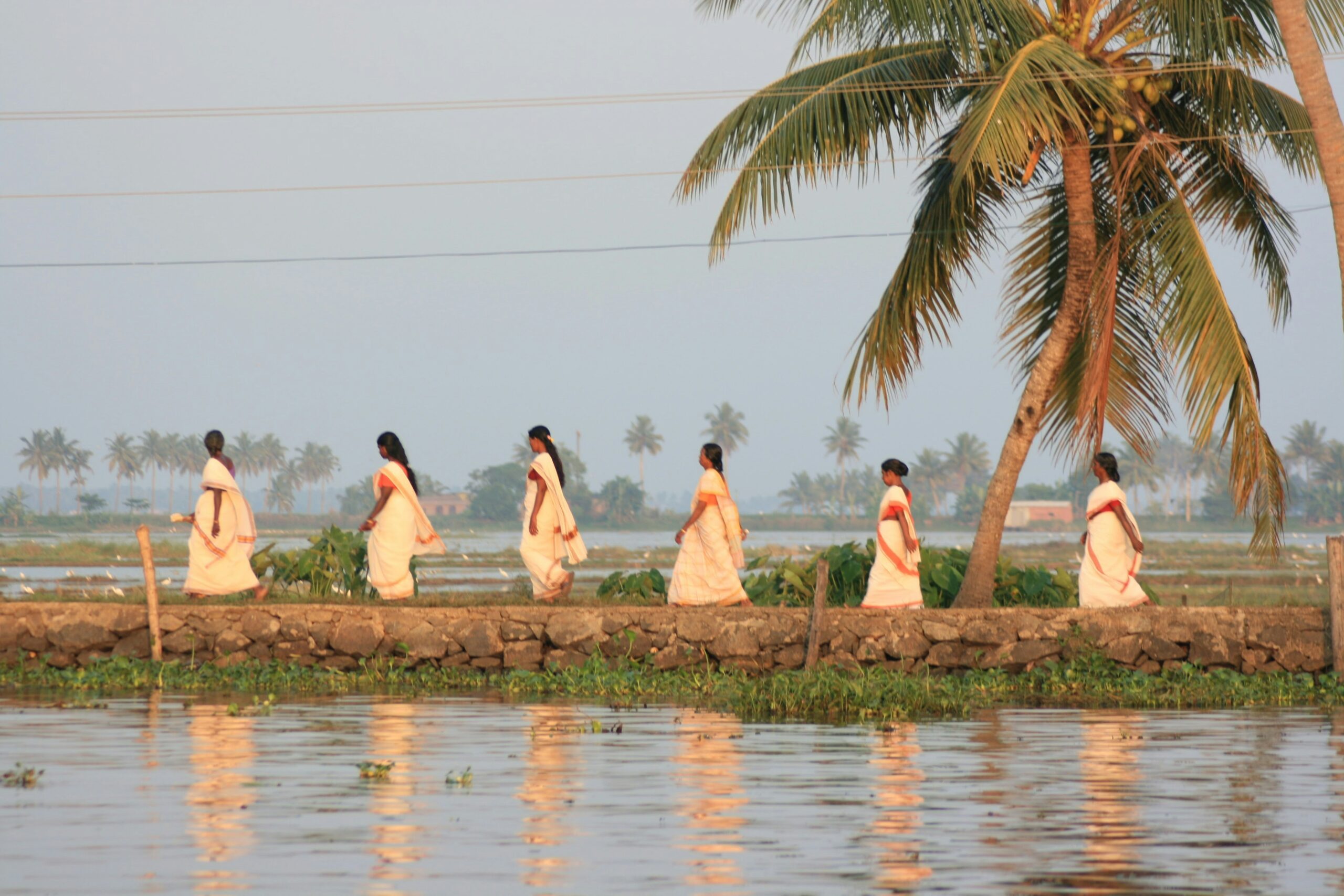 colin-white-Ic3DqWiv970-unsplash Indische Frauen wandern am Ufer der Backwaters in Kerala